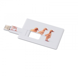 Chiavetta usb 16GB MO1059